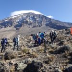 8 Days Kilimanjaro Climbing via Northern Circuit